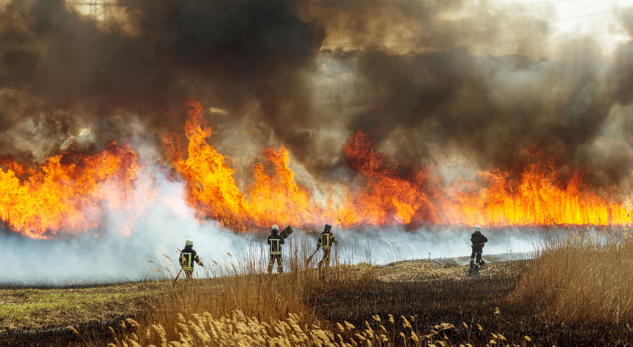 socorristas combatiendo un incendio forestal