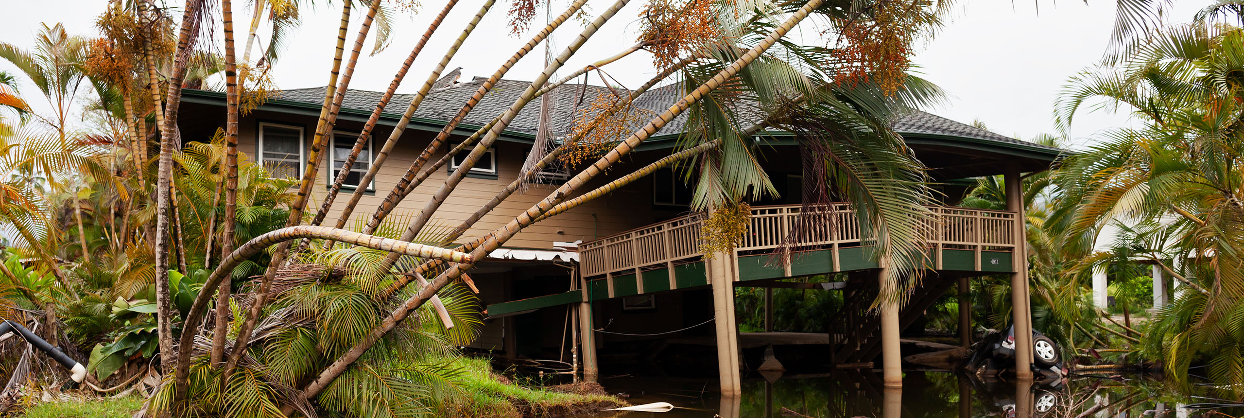 Daño residencial causado por el agua en Hawái