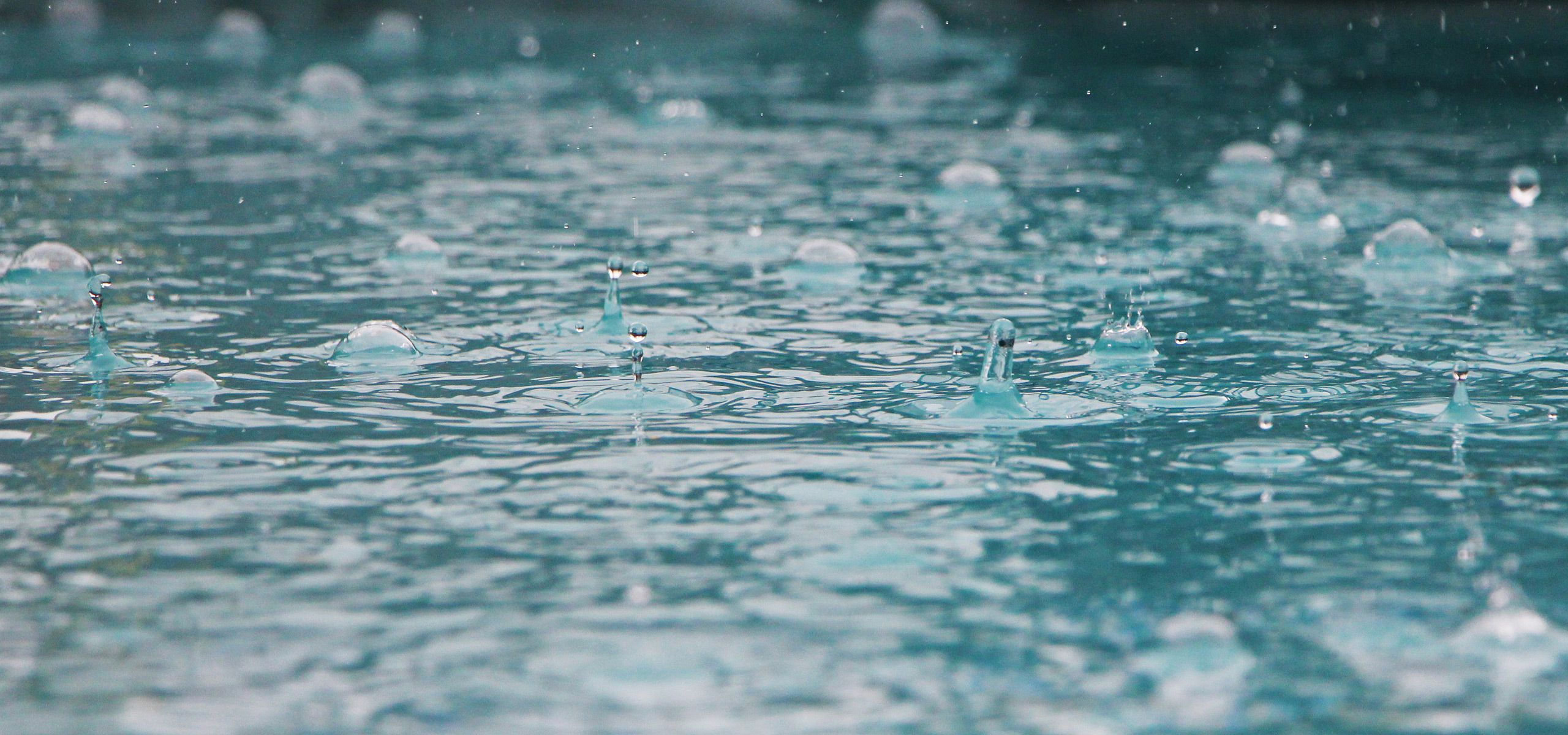 charcos de agua de lluvia