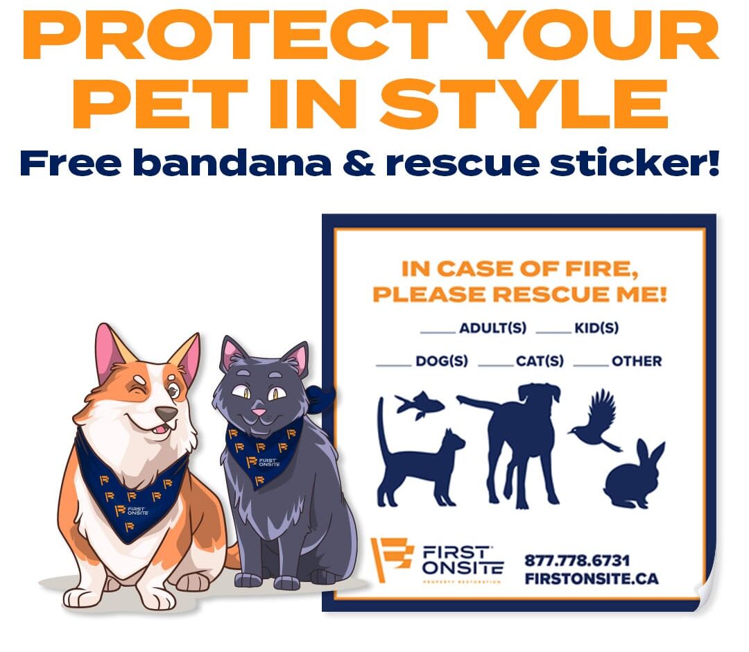 sorteo para mascotas