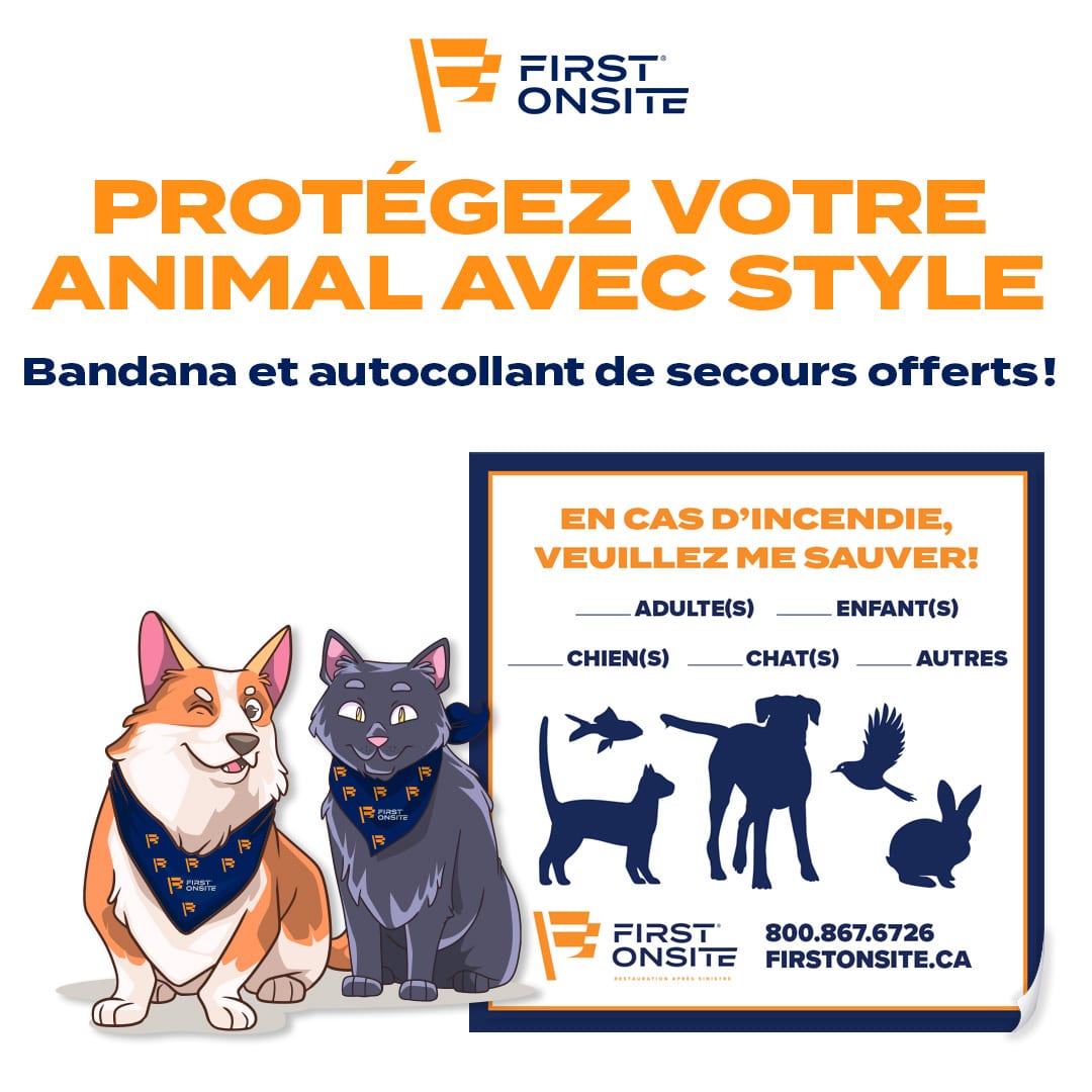 don d'animaux de compagnie en