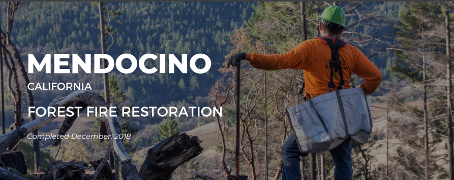 Mendocino California forest fire restoration