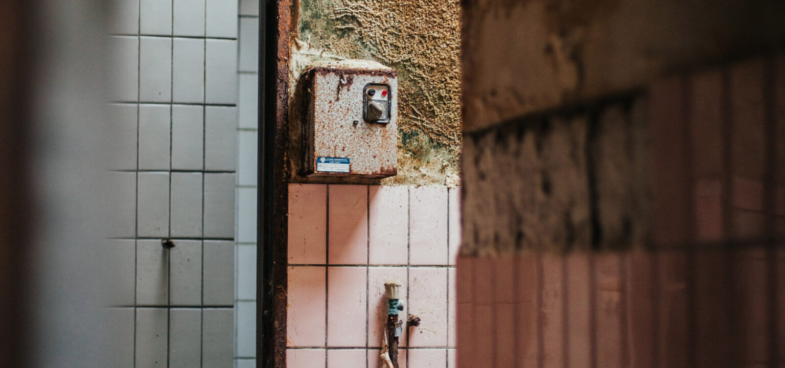 How Fast Can Mold Grow and a Problem First Onsite Property