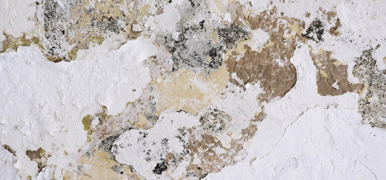 Water Damage and Repairing Flooring