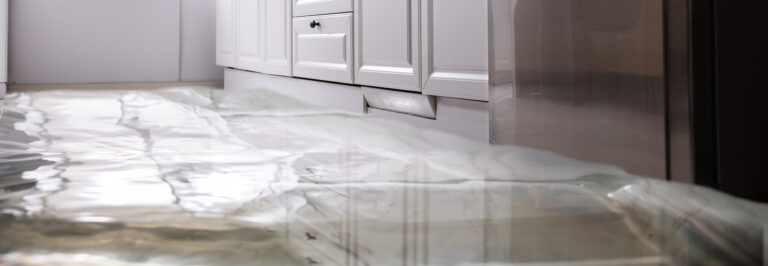 Signs of Water Damage and Mold
